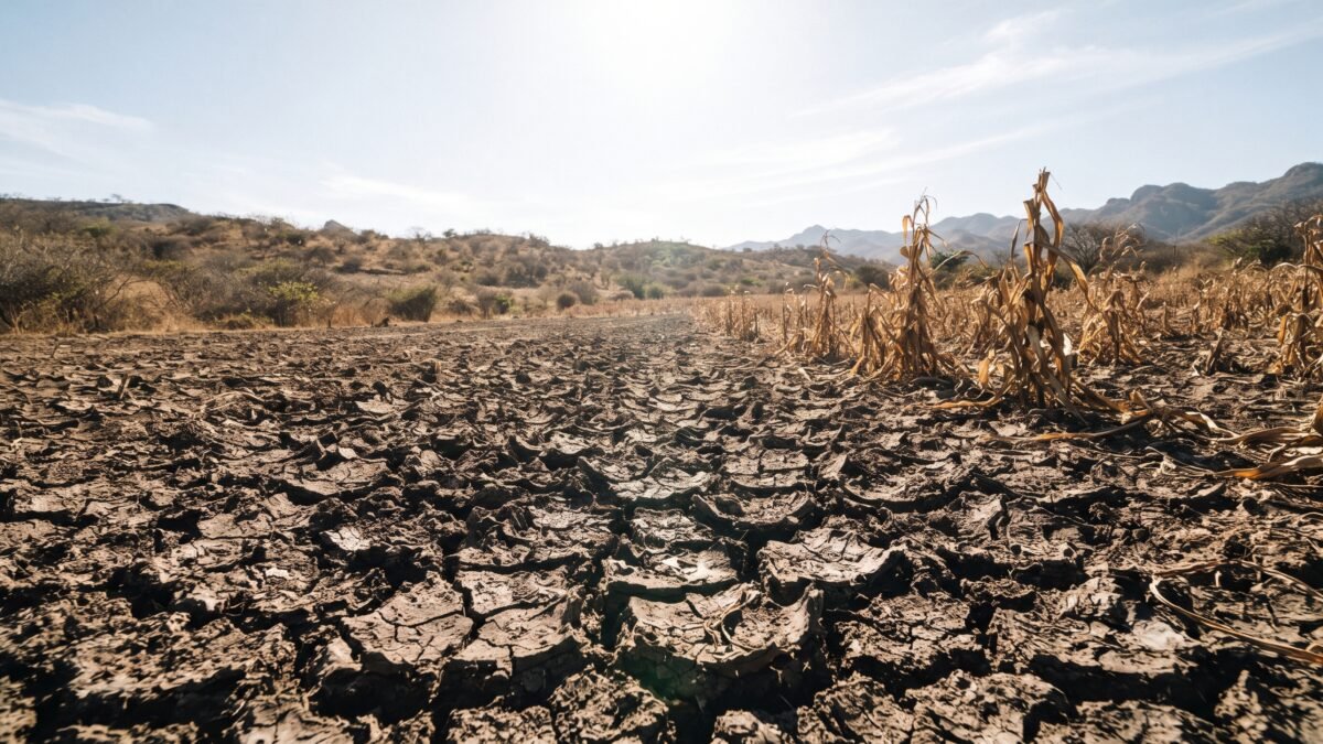 Sequía aprieta a Chiapas: 85 municipios con algún grado y 8.4% en nivel severo