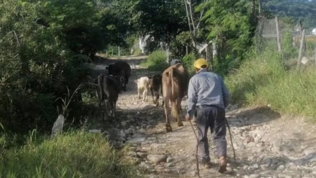 Solo 2.8% de productores agropecuarios en México son jóvenes, revela Inegi