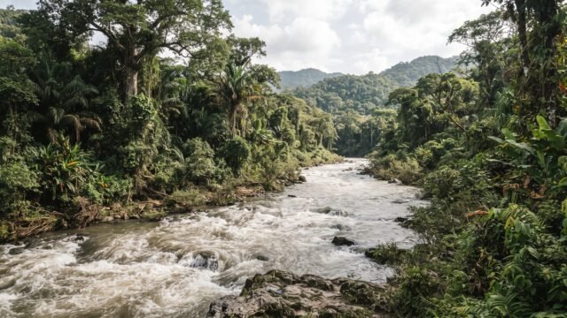 Solo 20.1% de menores en Chiapas conoce la oncocercosis o mal morado