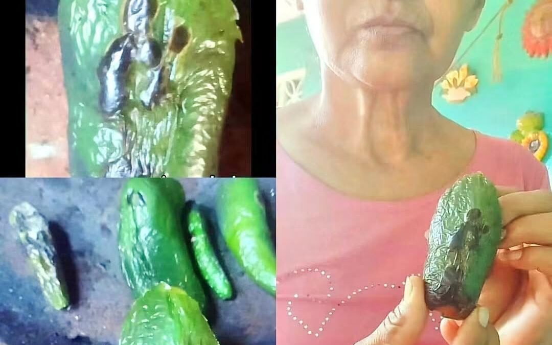 Tatemaba chiles en el comal y se le apareció San Judas: el milagro que conmueve en Chiapas