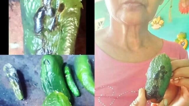 Tatemaba chiles en el comal y se le apareció San Judas: el milagro que conmueve en Chiapas