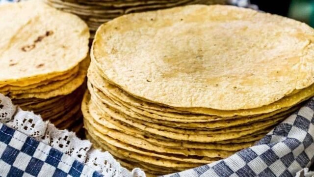 Tortilla de maíz bajo la lupa: investigan su poder contra el cáncer de mama en México