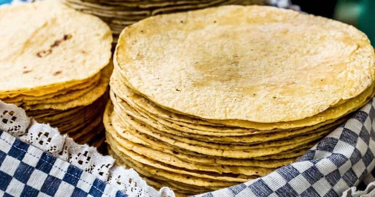 Tortilla de maíz bajo la lupa: investigan su poder contra el cáncer de mama en México