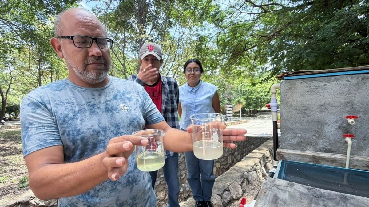 Unicach remueve 80 por ciento de contaminantes del agua de su cafetería en Tuxtla