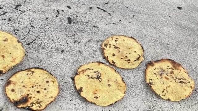 UNICACH y Tec de Tuxtla impulsan aprovechamiento integral del guaje