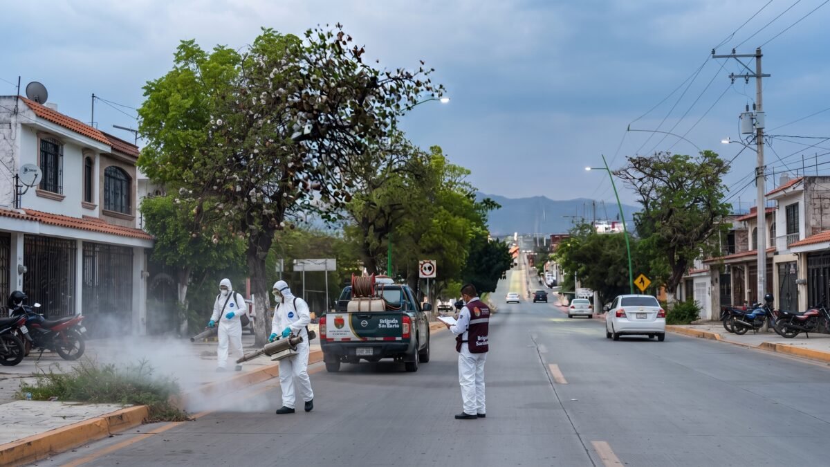 Vecinos de la colonia Albania Baja denuncian plaga de ratas en Tuxtla Gutiérrez